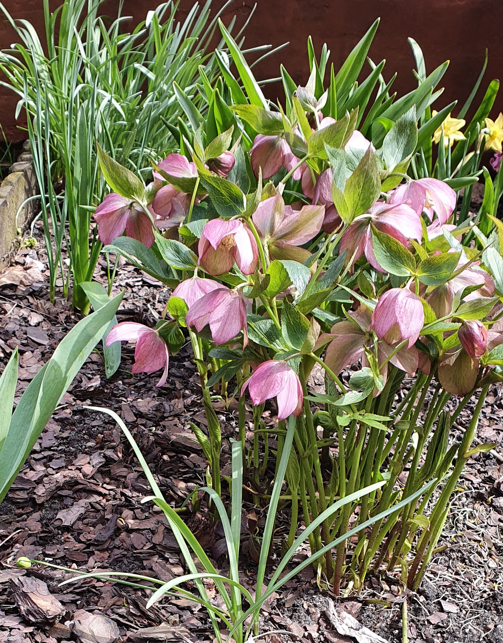 Anna Olejniczak 8a.jpg